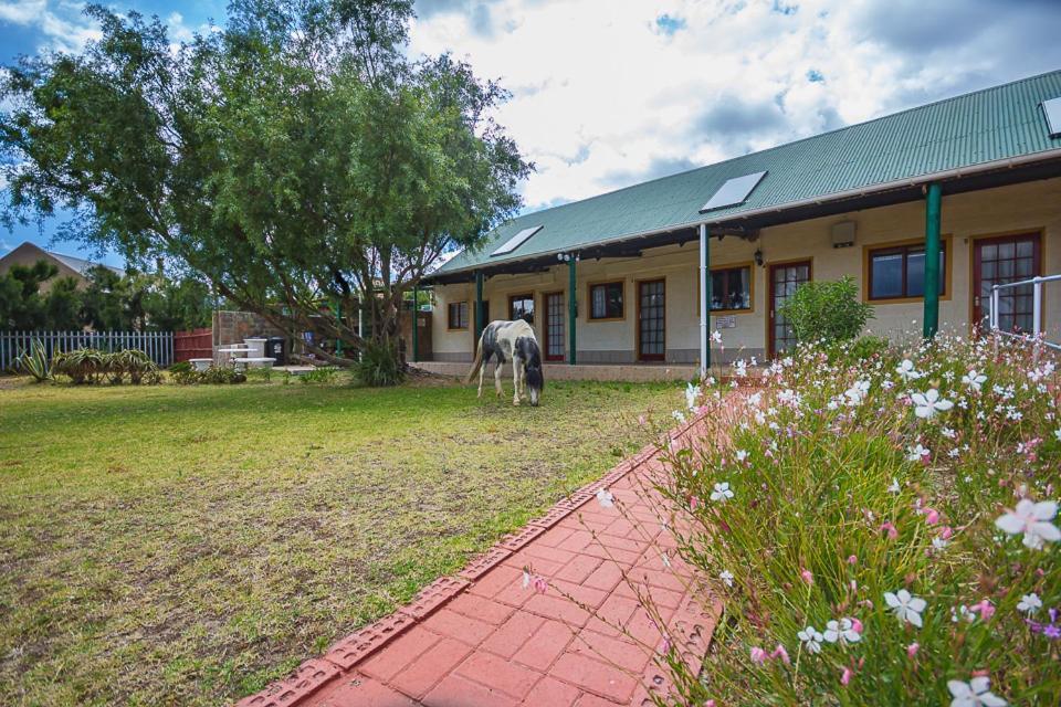 Kingfisher Hollow Gordons Bay Exterior photo